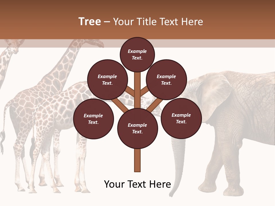 Tall Closeup Powerful PowerPoint Template