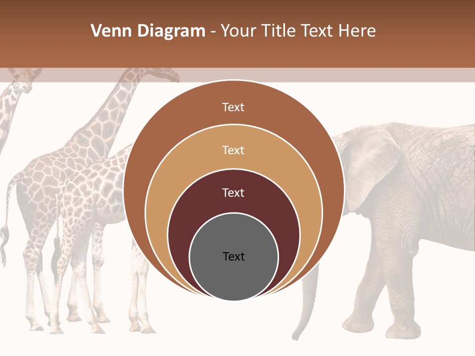 Tall Closeup Powerful PowerPoint Template