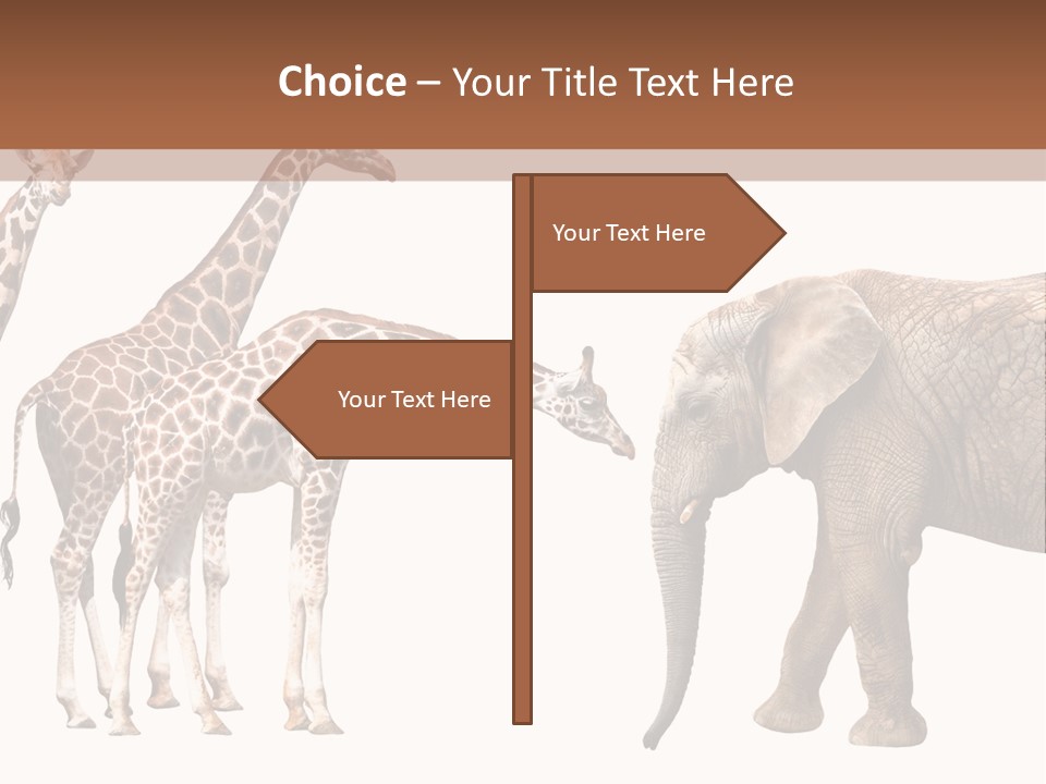 Tall Closeup Powerful PowerPoint Template