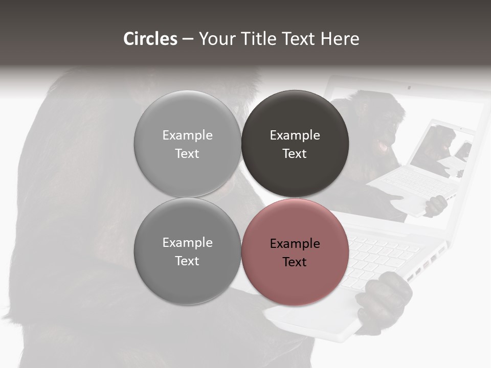 White Smartness Communication PowerPoint Template