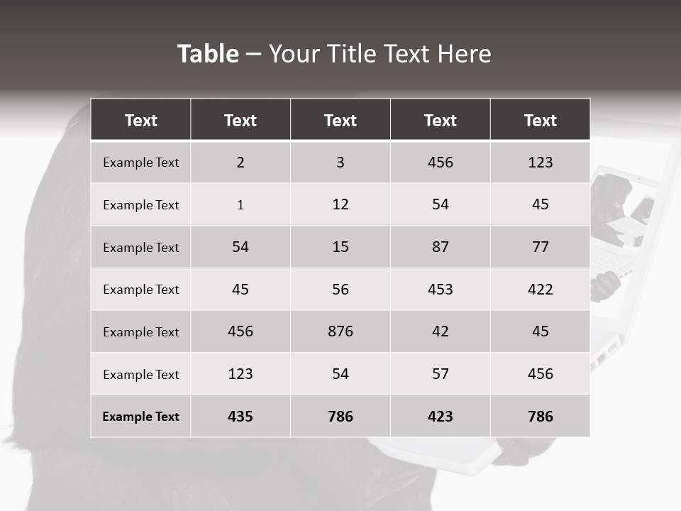 White Smartness Communication PowerPoint Template