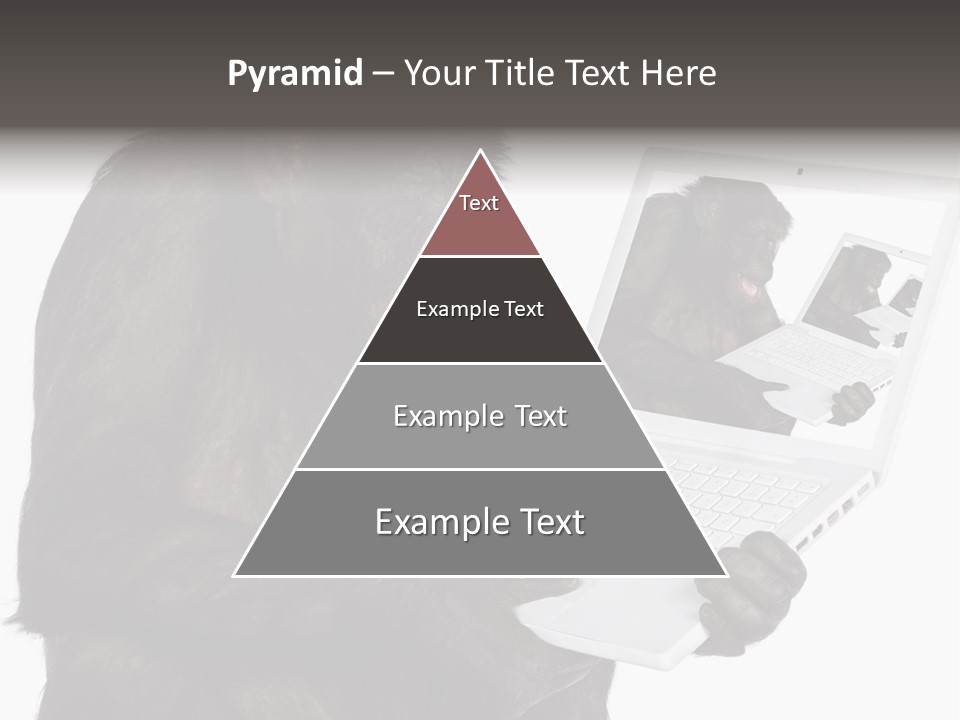 White Smartness Communication PowerPoint Template