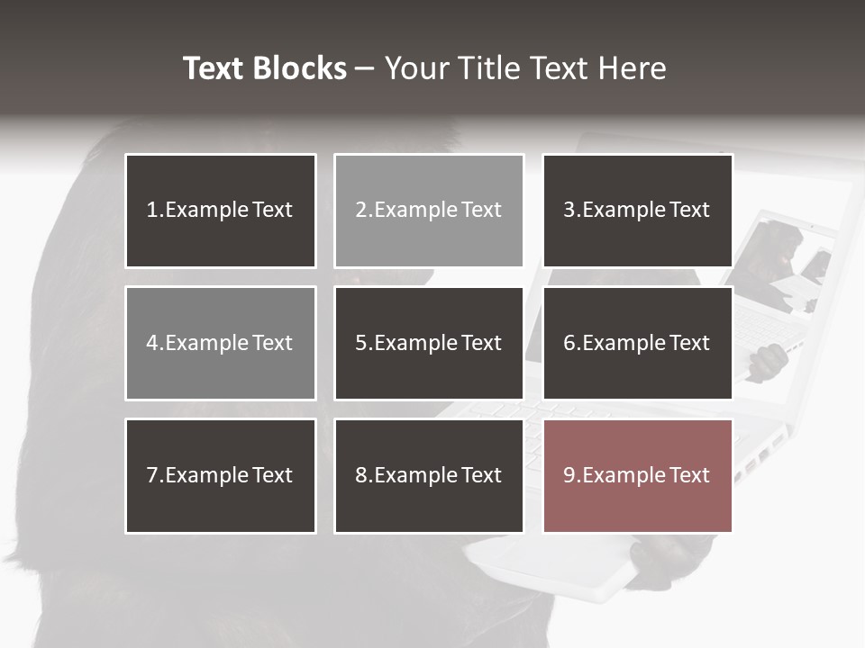White Smartness Communication PowerPoint Template