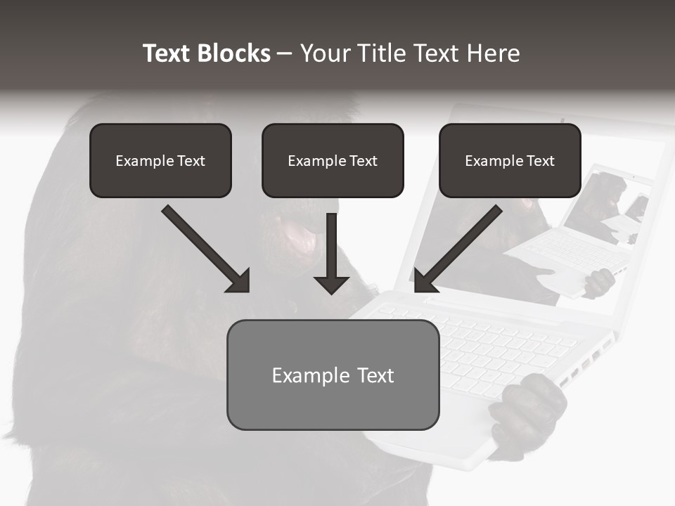 White Smartness Communication PowerPoint Template