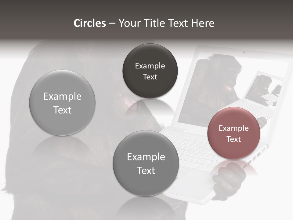 White Smartness Communication PowerPoint Template