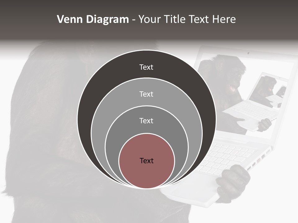White Smartness Communication PowerPoint Template