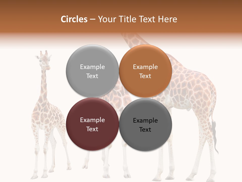 Forest Long Safari PowerPoint Template