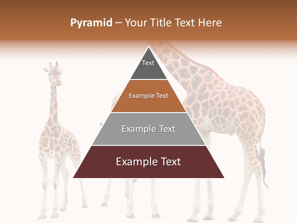 Forest Long Safari PowerPoint Template