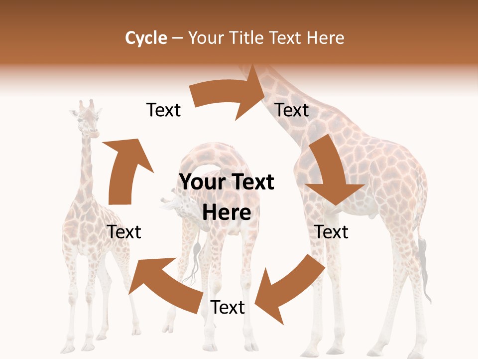 Forest Long Safari PowerPoint Template