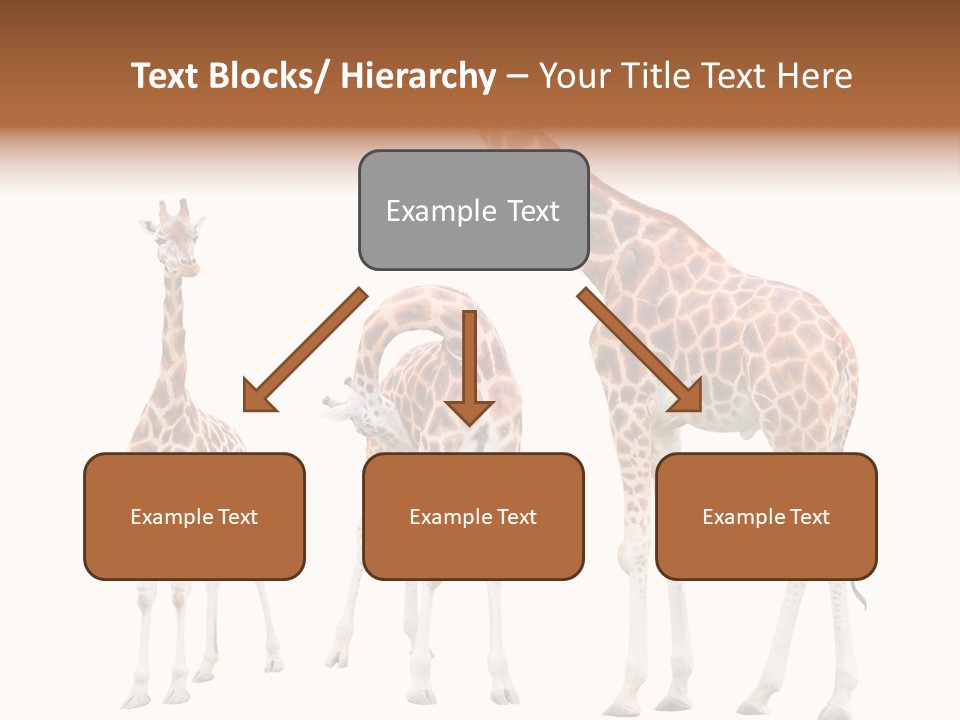 Forest Long Safari PowerPoint Template