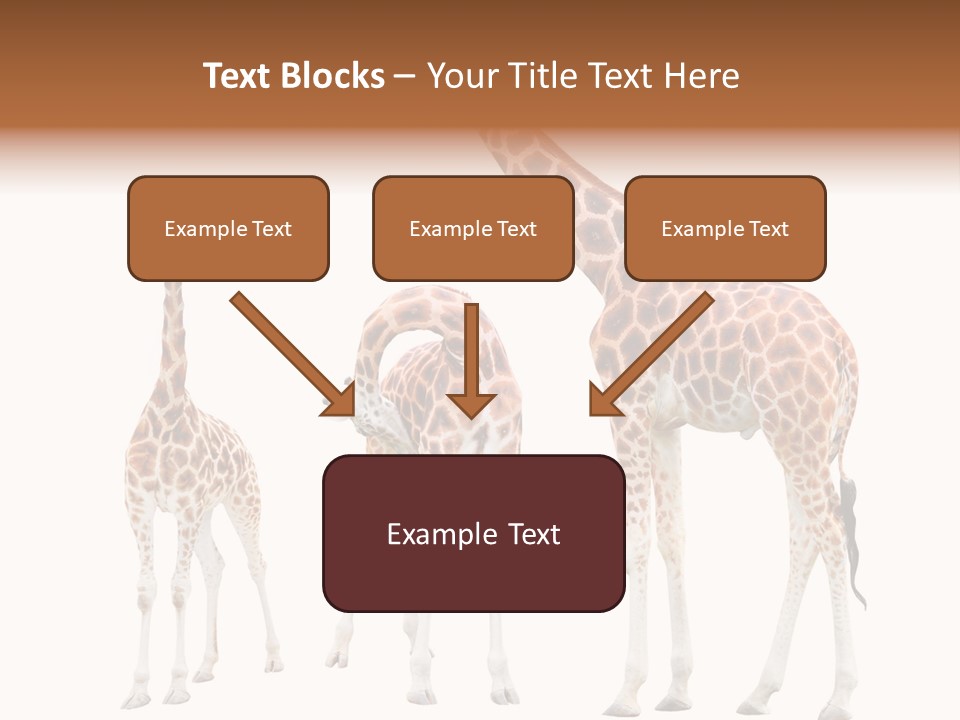 Forest Long Safari PowerPoint Template