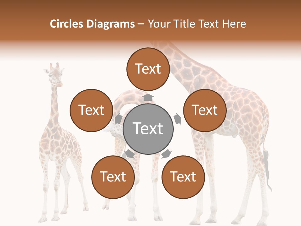 Forest Long Safari PowerPoint Template