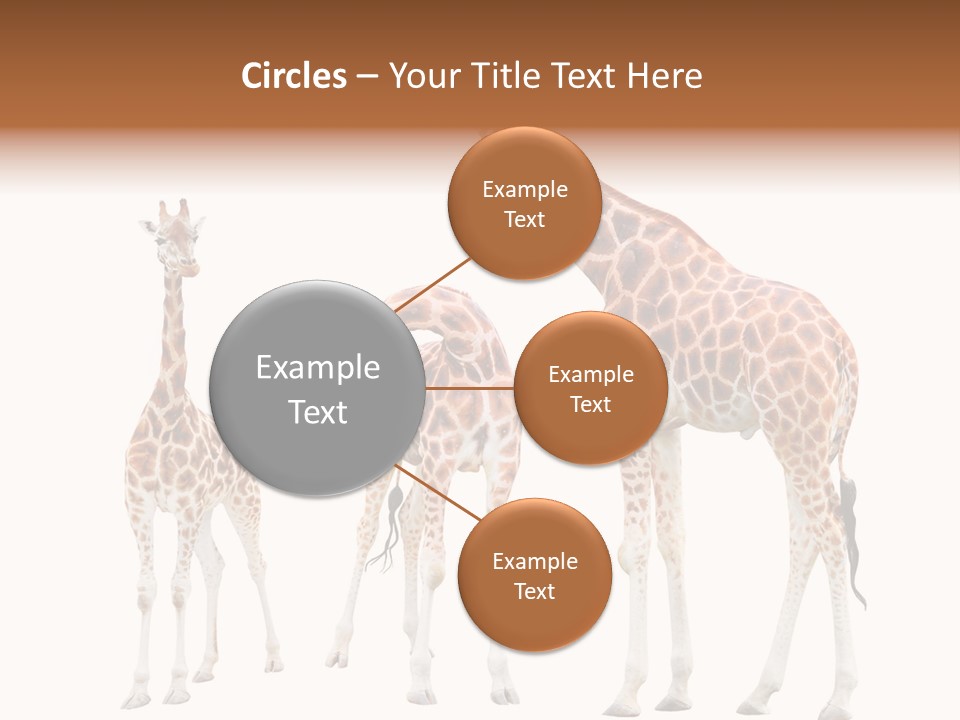 Forest Long Safari PowerPoint Template