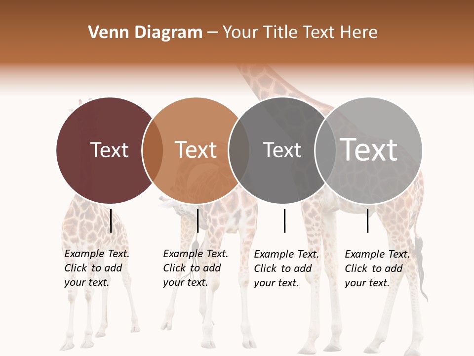 Forest Long Safari PowerPoint Template