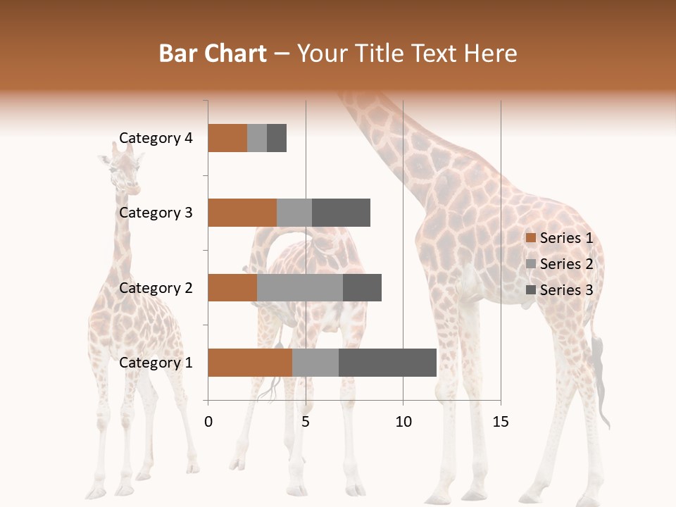 Forest Long Safari PowerPoint Template