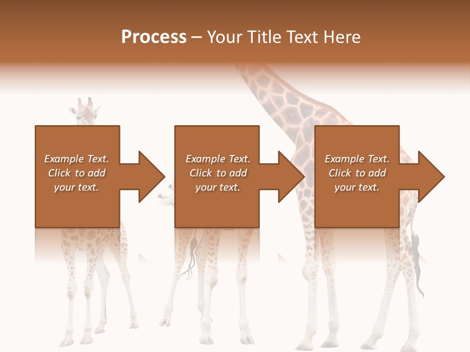 Forest Long Safari PowerPoint Template