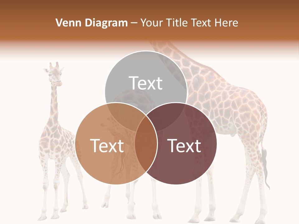 Forest Long Safari PowerPoint Template