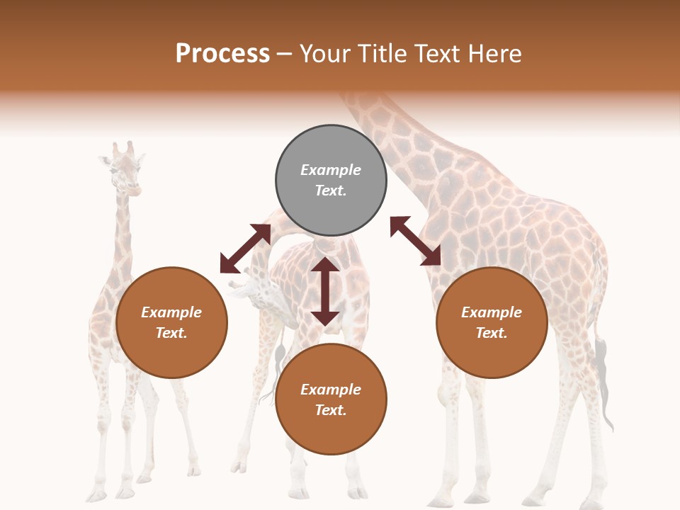 Forest Long Safari PowerPoint Template