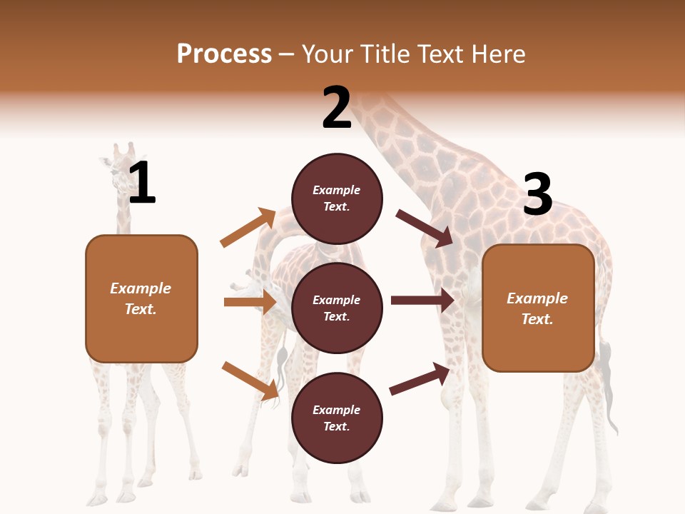 Forest Long Safari PowerPoint Template