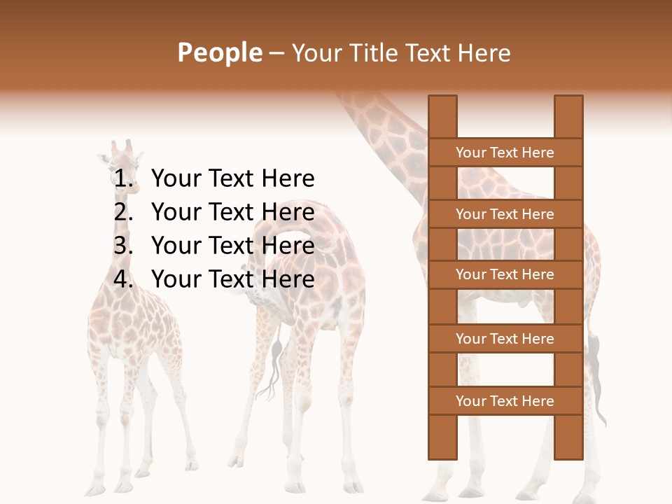 Forest Long Safari PowerPoint Template