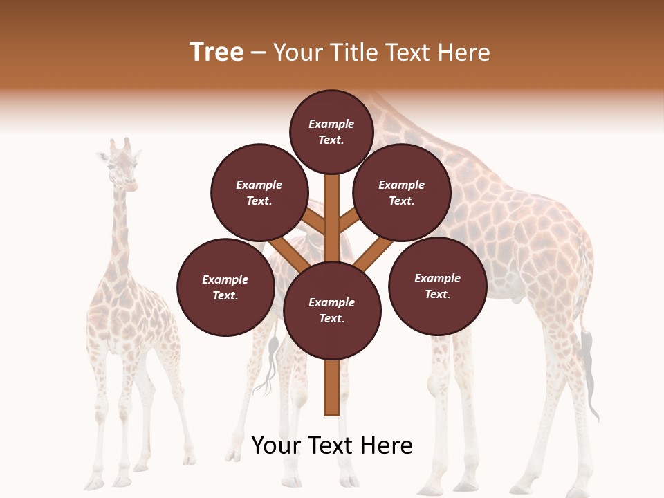 Forest Long Safari PowerPoint Template