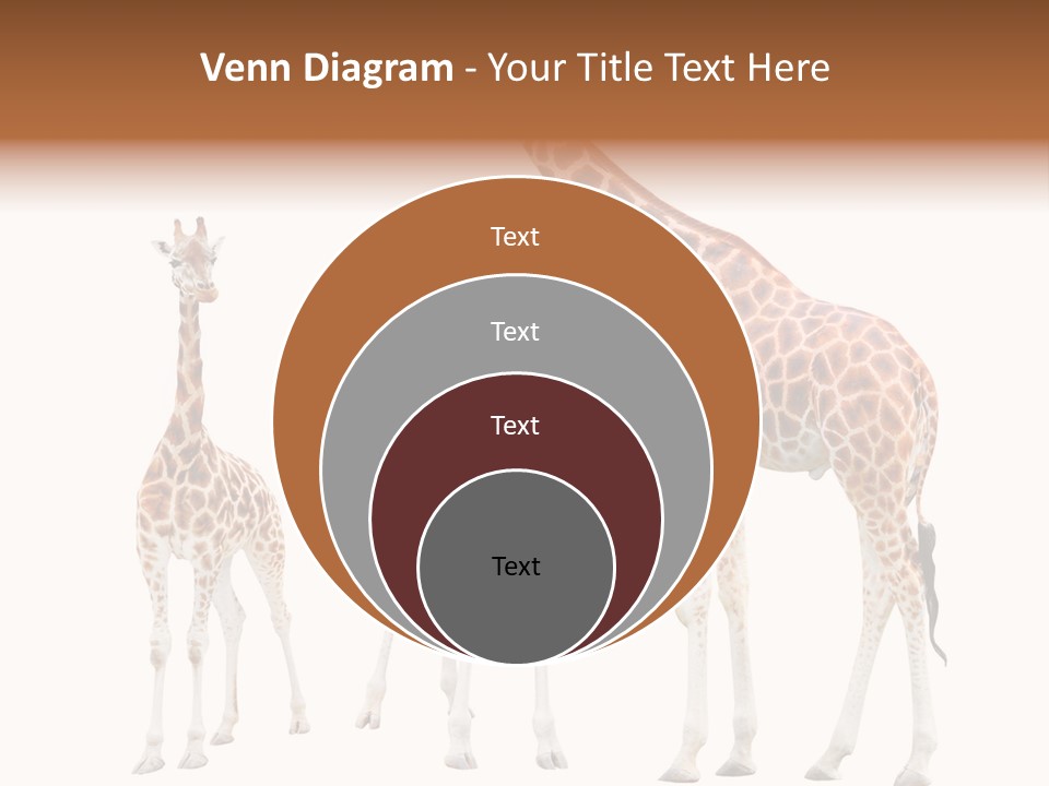 Forest Long Safari PowerPoint Template