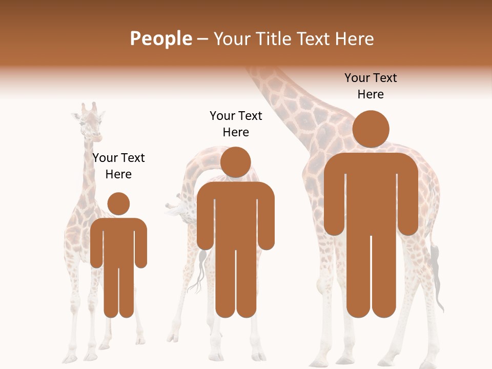 Forest Long Safari PowerPoint Template