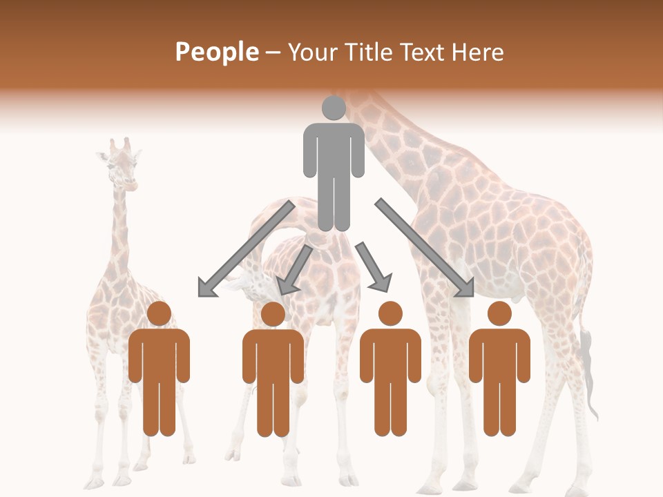 Forest Long Safari PowerPoint Template