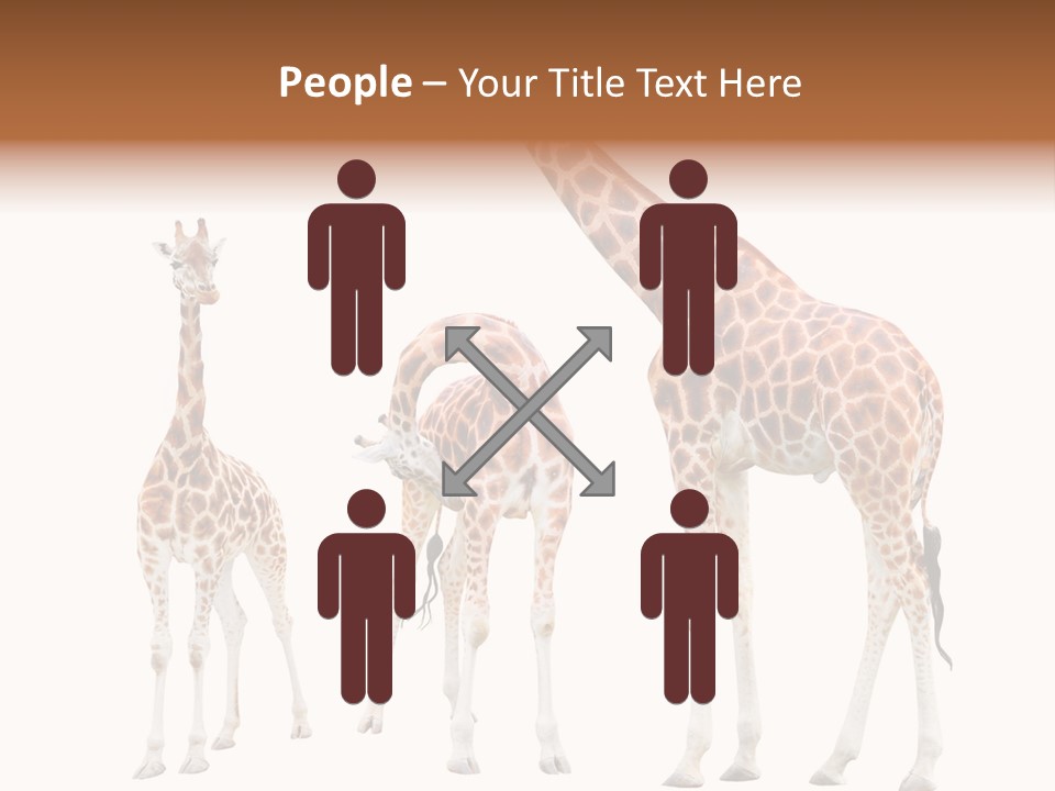 Forest Long Safari PowerPoint Template