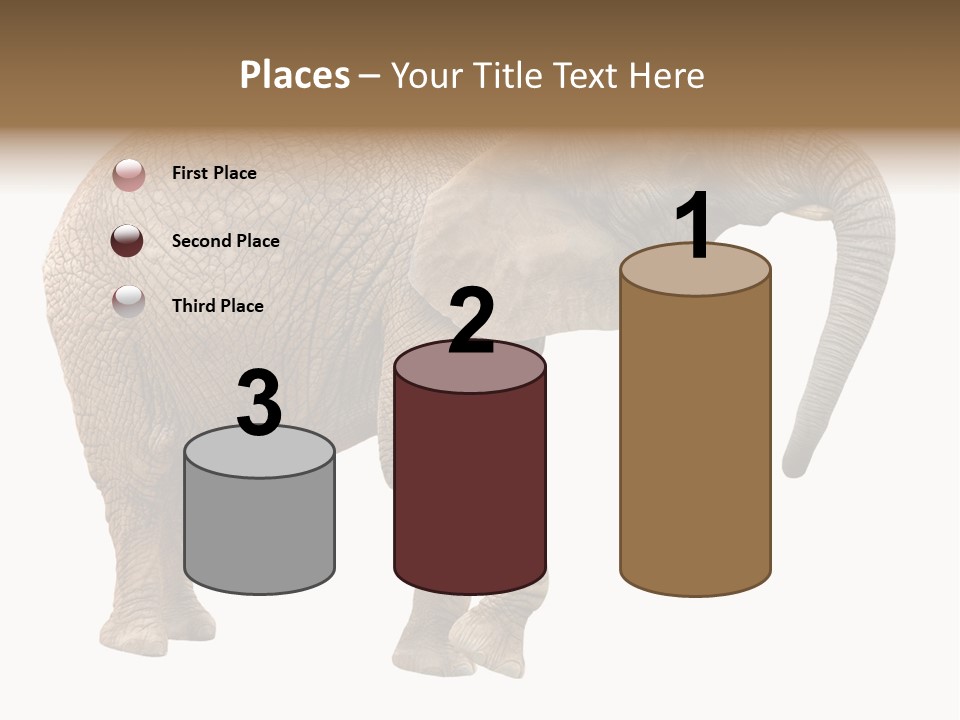 Loxodonta Ivory Safari PowerPoint Template