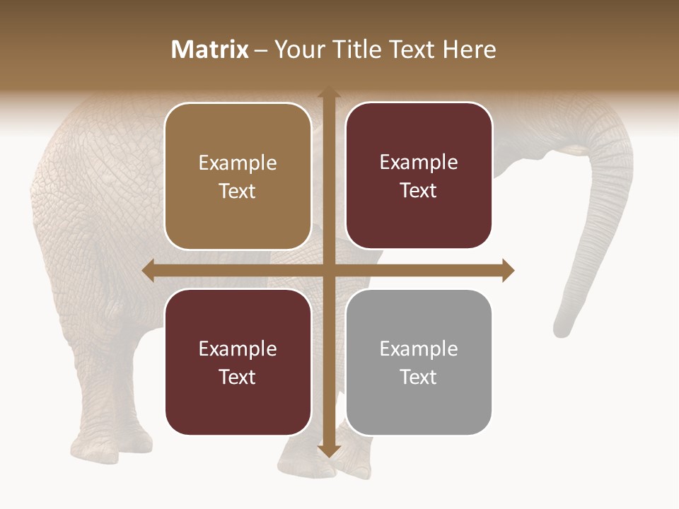 Loxodonta Ivory Safari PowerPoint Template