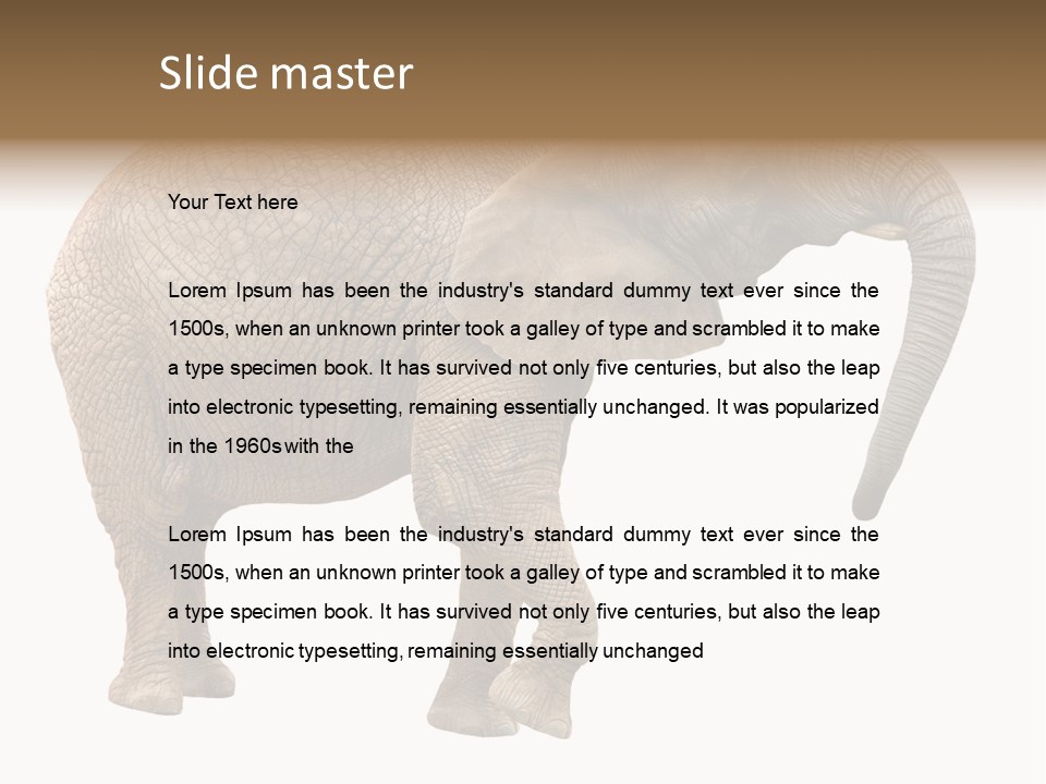 Loxodonta Ivory Safari PowerPoint Template