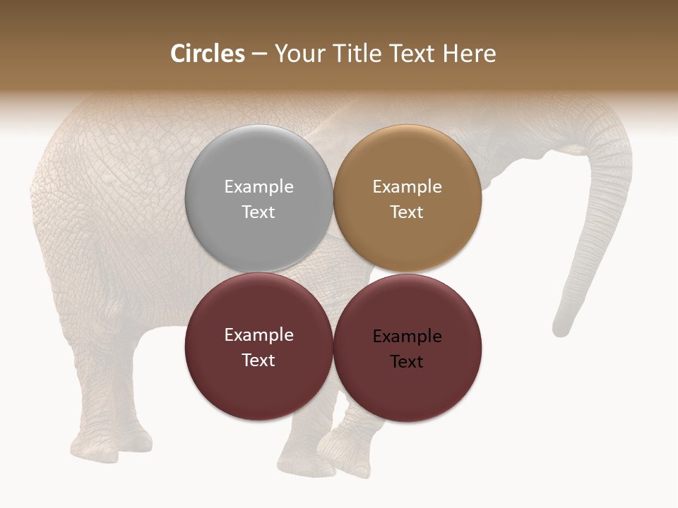Loxodonta Ivory Safari PowerPoint Template