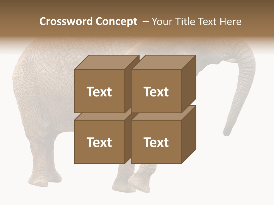 Loxodonta Ivory Safari PowerPoint Template