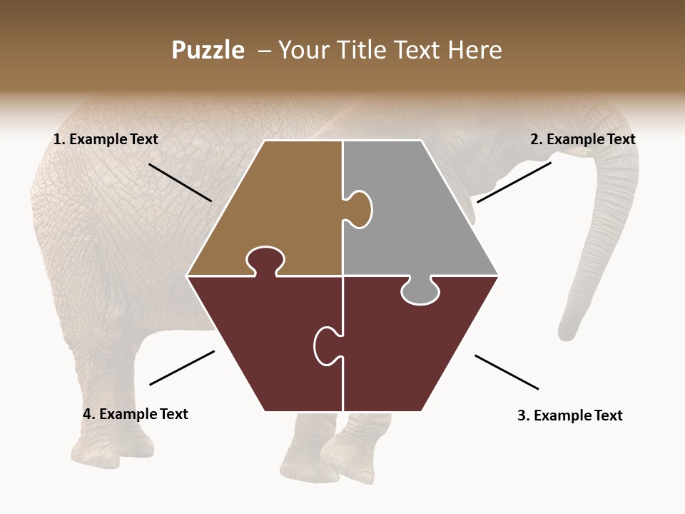 Loxodonta Ivory Safari PowerPoint Template