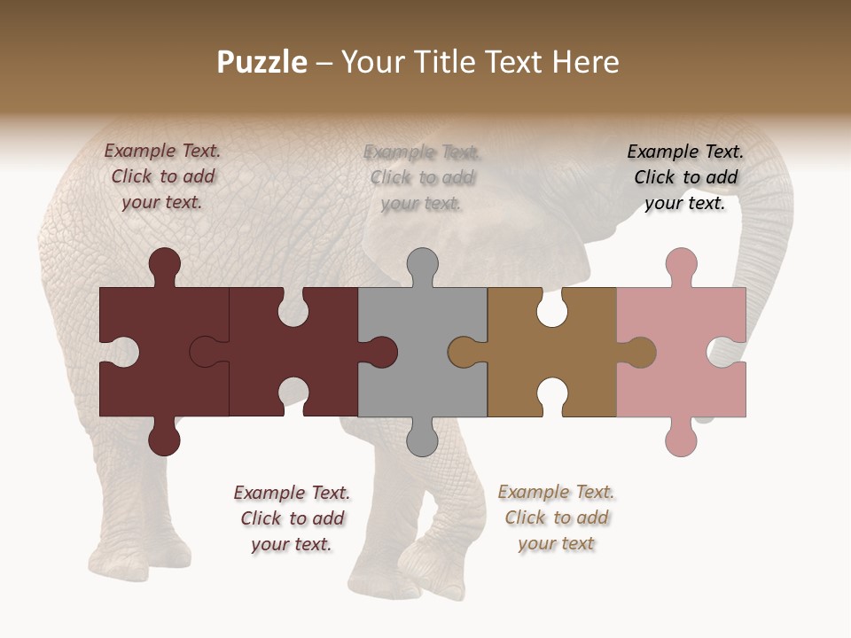 Loxodonta Ivory Safari PowerPoint Template