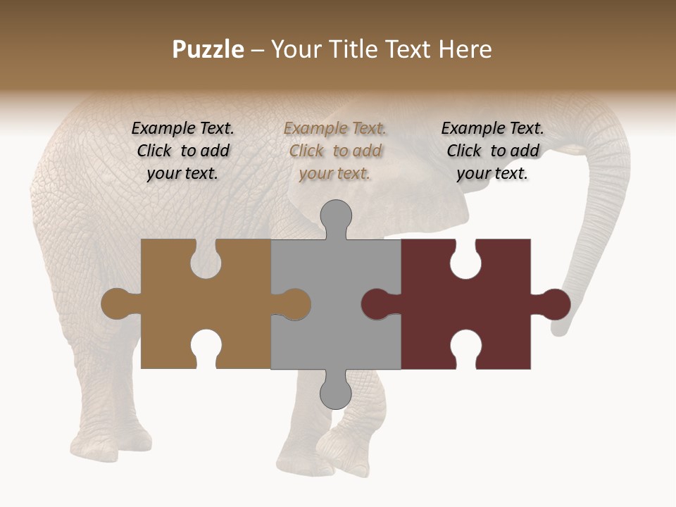 Loxodonta Ivory Safari PowerPoint Template