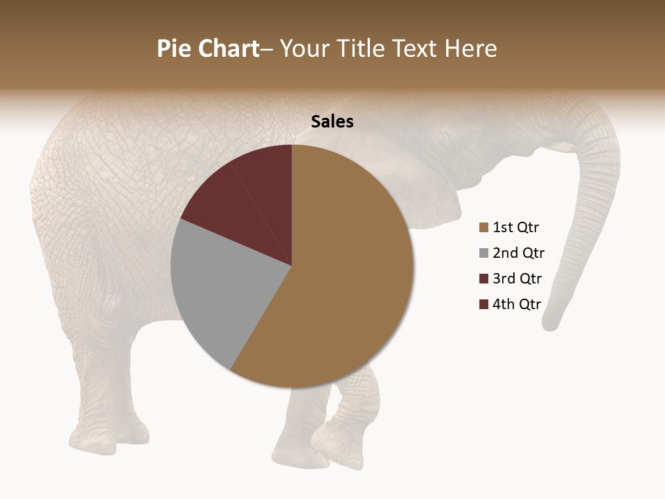 Loxodonta Ivory Safari PowerPoint Template