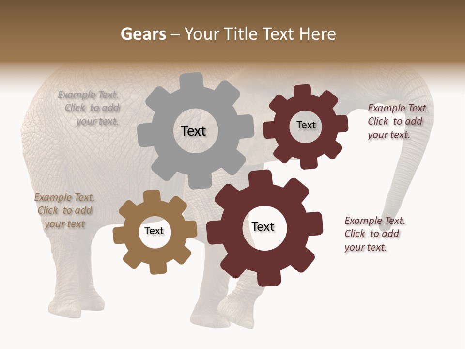 Loxodonta Ivory Safari PowerPoint Template