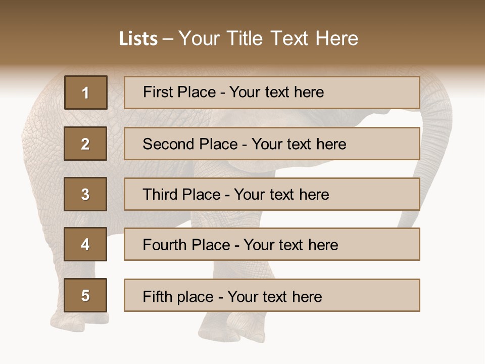 Loxodonta Ivory Safari PowerPoint Template