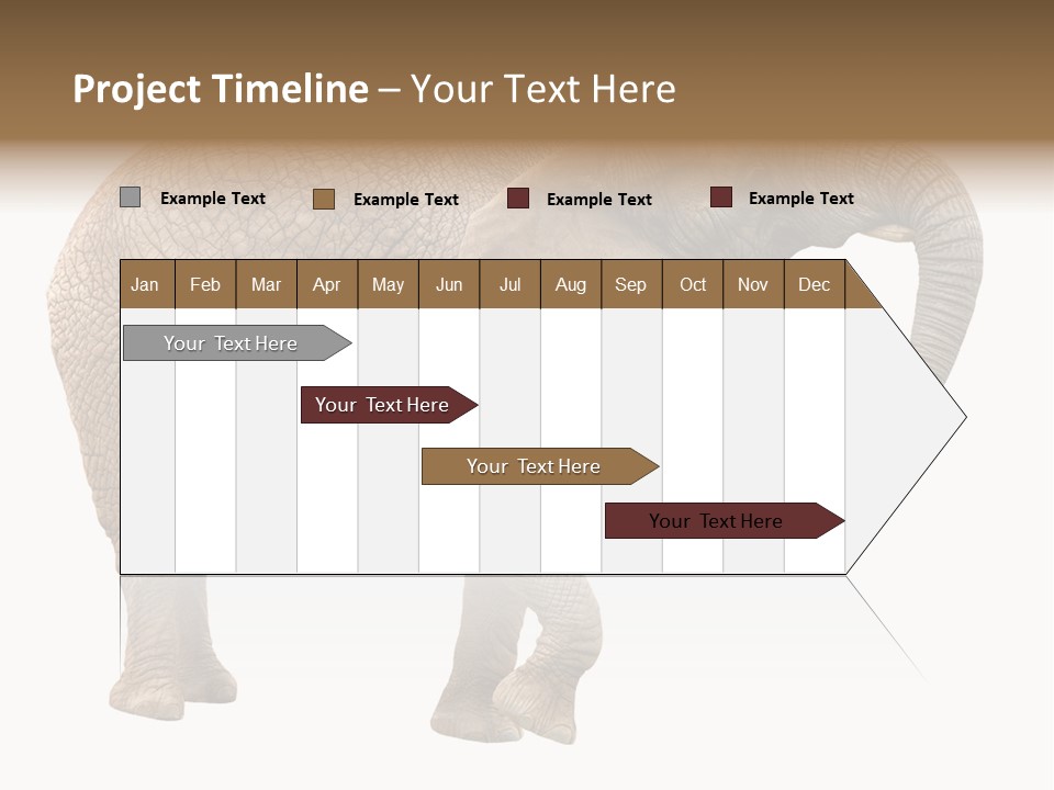 Loxodonta Ivory Safari PowerPoint Template