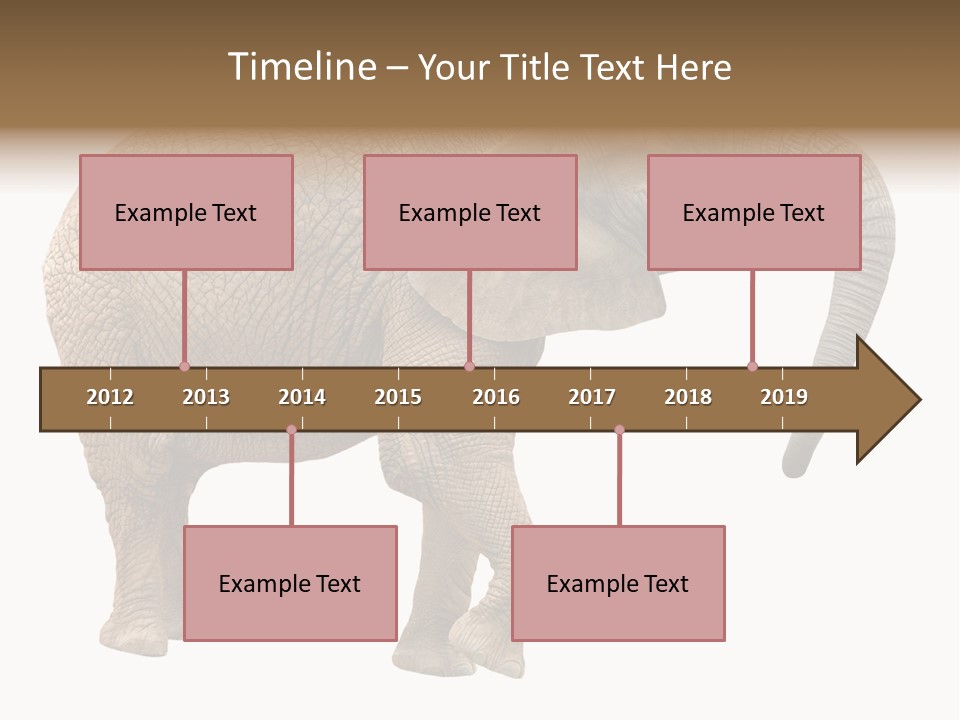 Loxodonta Ivory Safari PowerPoint Template