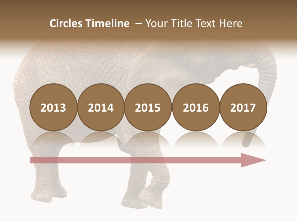 Loxodonta Ivory Safari PowerPoint Template