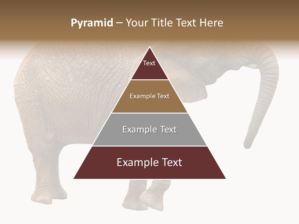 Loxodonta Ivory Safari PowerPoint Template