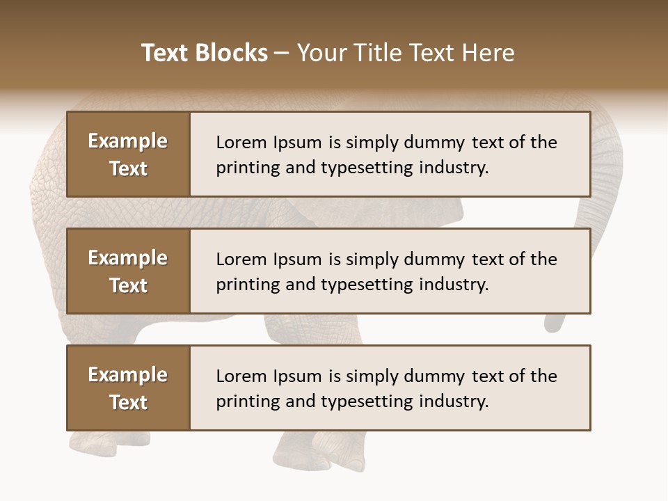 Loxodonta Ivory Safari PowerPoint Template