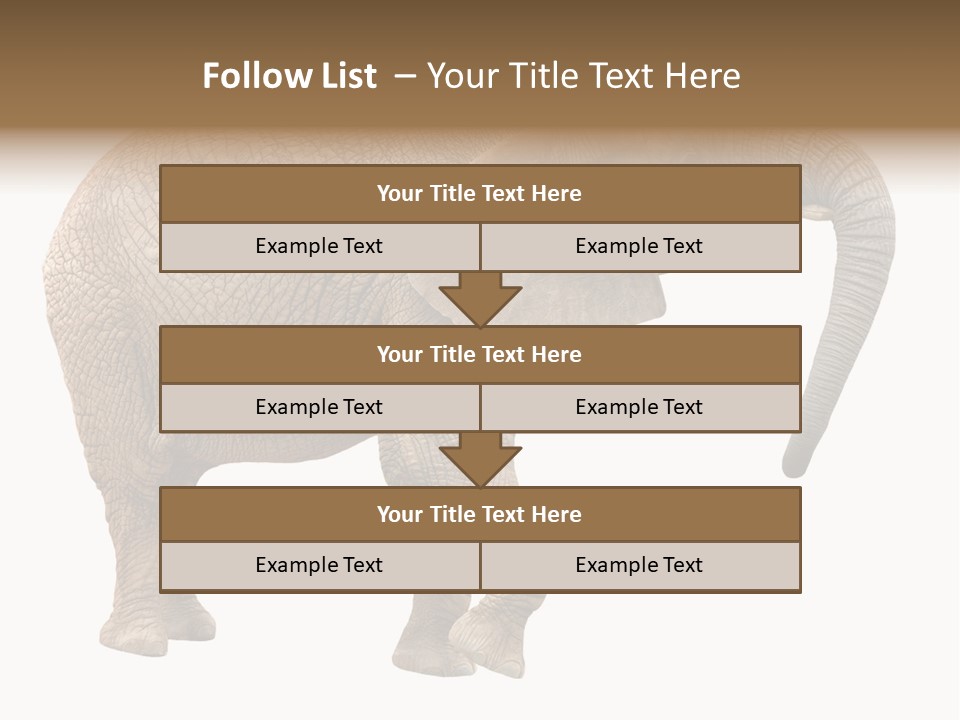Loxodonta Ivory Safari PowerPoint Template