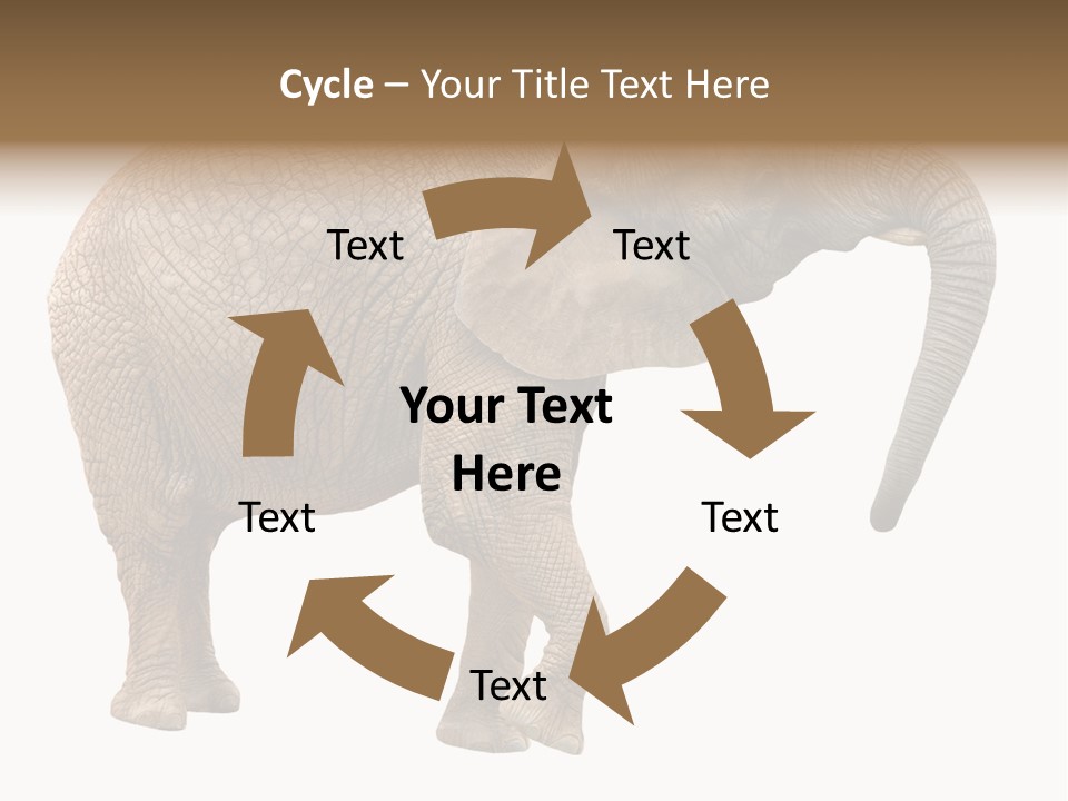 Loxodonta Ivory Safari PowerPoint Template