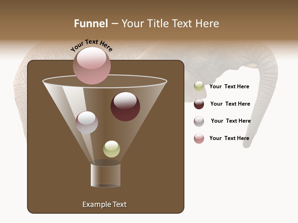 Loxodonta Ivory Safari PowerPoint Template