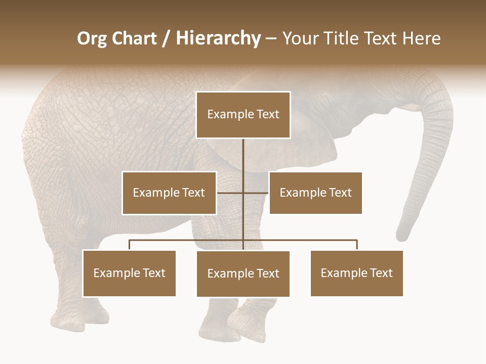 Loxodonta Ivory Safari PowerPoint Template