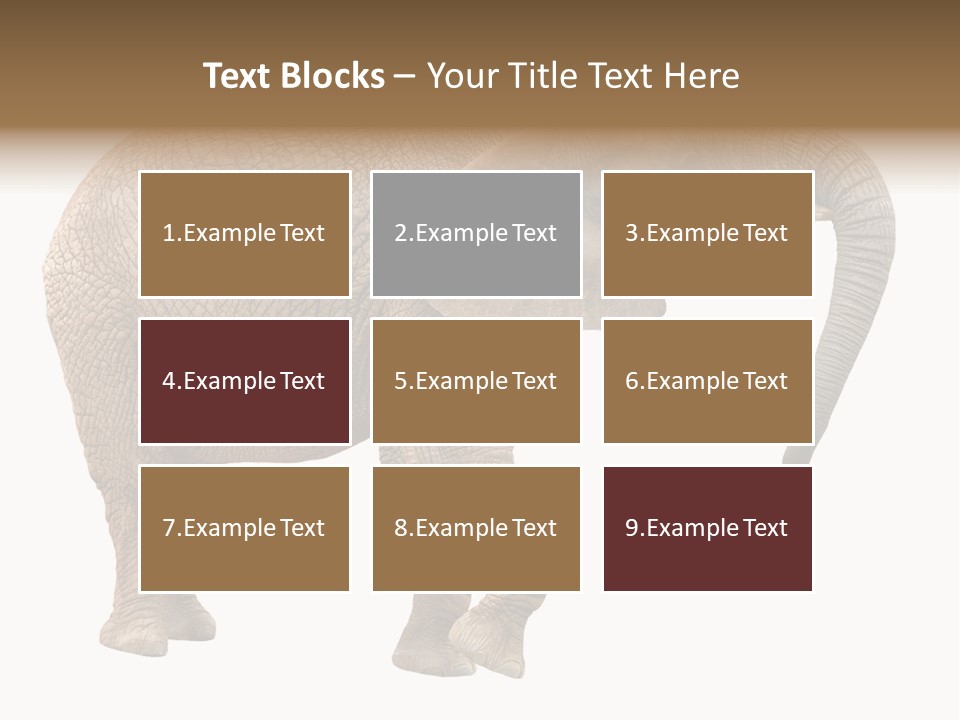 Loxodonta Ivory Safari PowerPoint Template